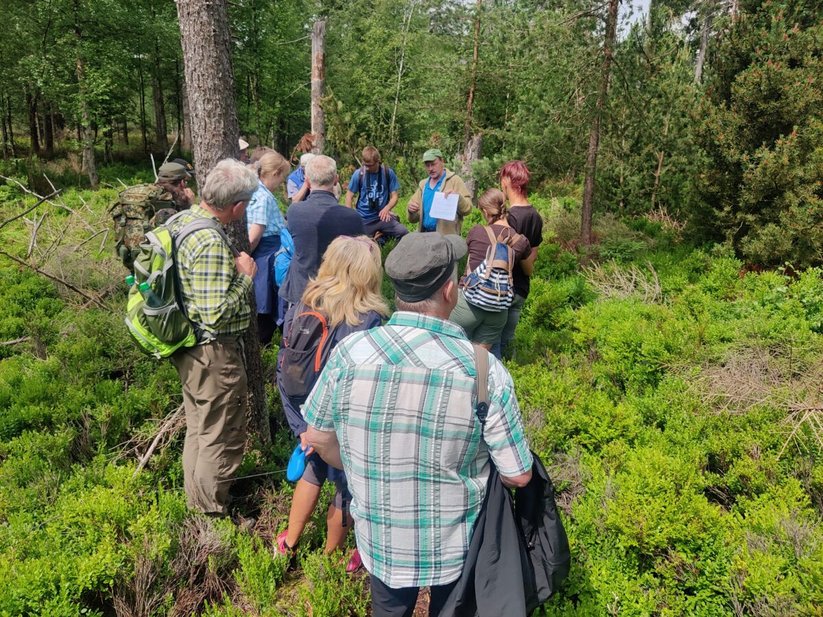 24 Stunden: Den Naturpark Steinwald neu entdecken