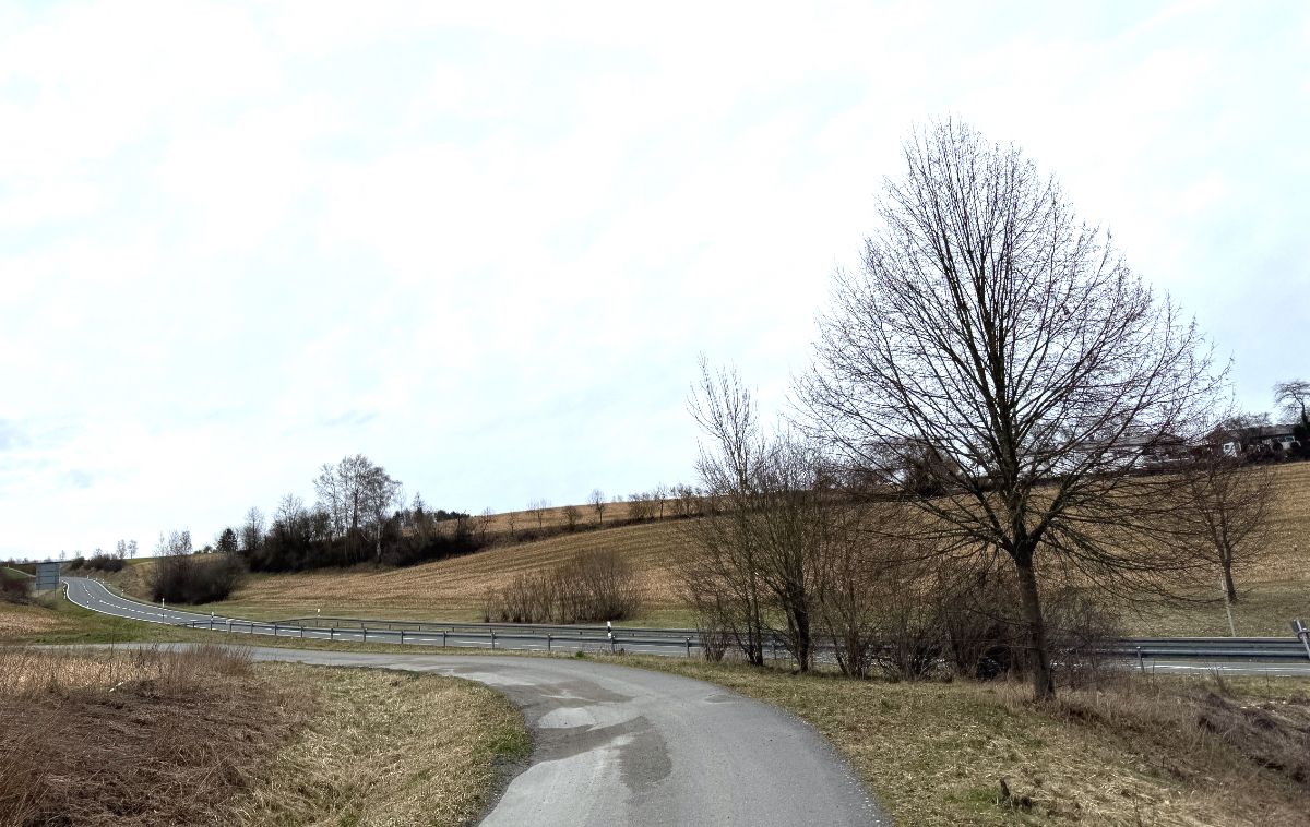 Solarpark in Störnstein: Feldlerche bekommt einen Hektar Ausgleichsfläche