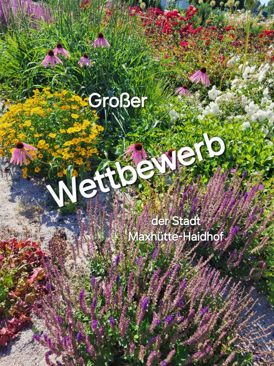 Blühende, bunte Vielfalt statt graue Wüste – eine Aktion gegen Schottergärten
