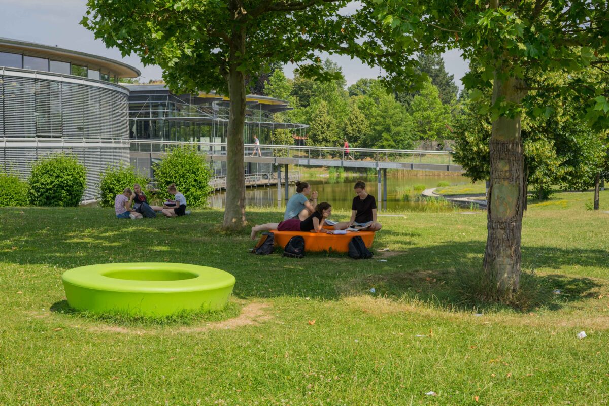 Neue Studiengänge an der OTH Regensburg