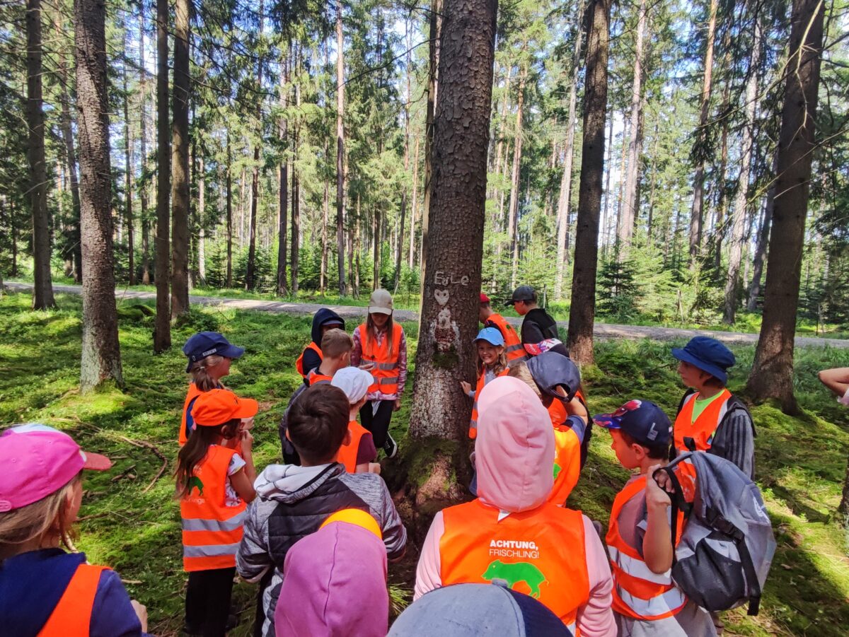 Waldführung an der GS in Waidhaus