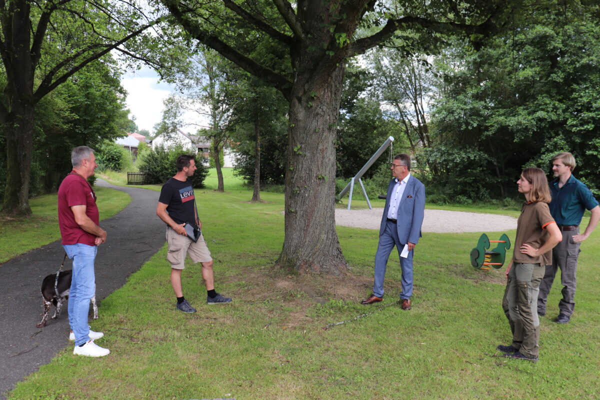 Tirschenreuth erfasst Stadtbäume digital