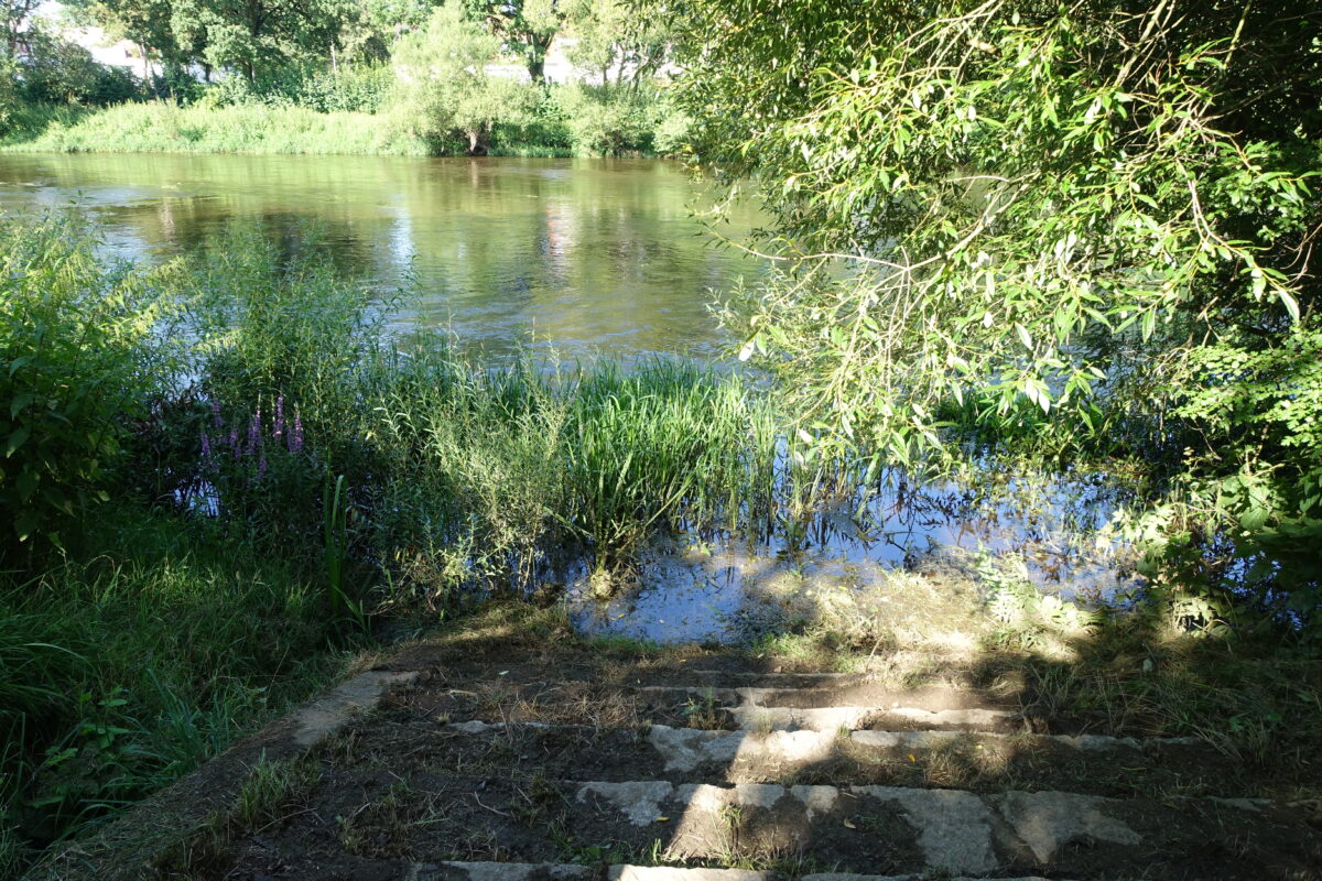 Schüler erleben Wasser hautnah in Nabburg