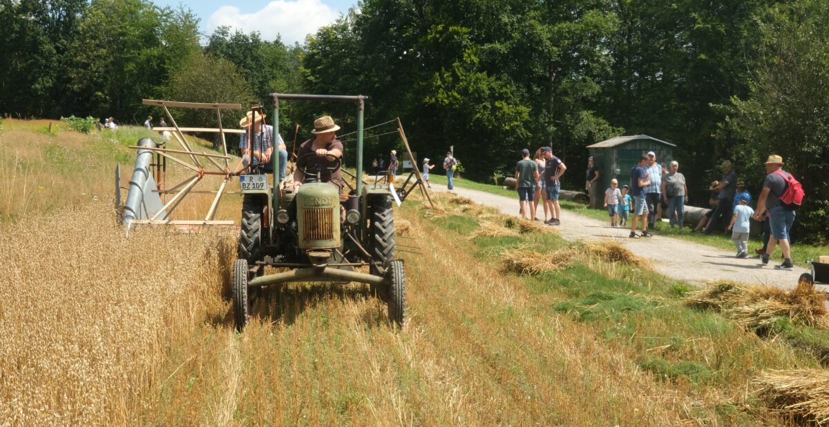 Erntetechnik von gestern fasziniert in Neusath