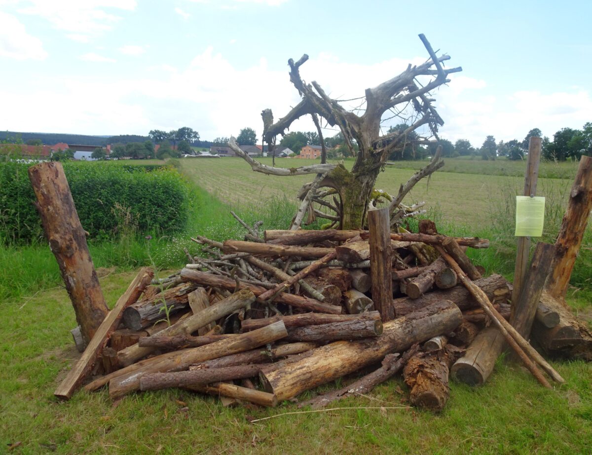 Naturparadiese siegen im Dorfwettbewerb Amberg-Sulzbach