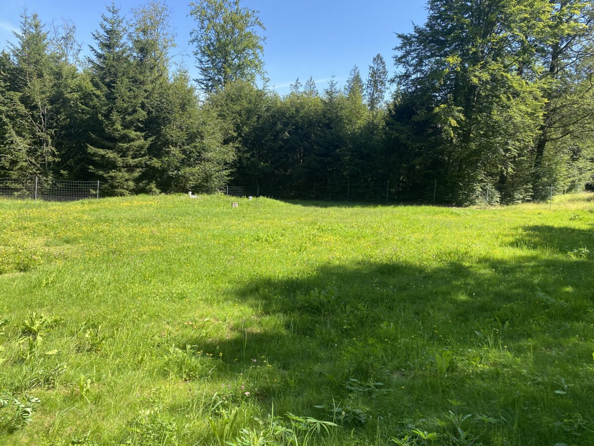 Zusätzliche Quelle für die Sicherung der Wasserversorgung