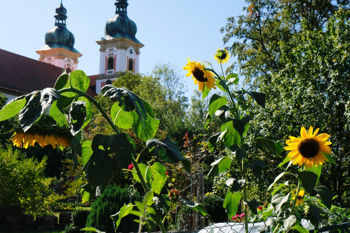 Speinshart investiert mutig in die Zukunft