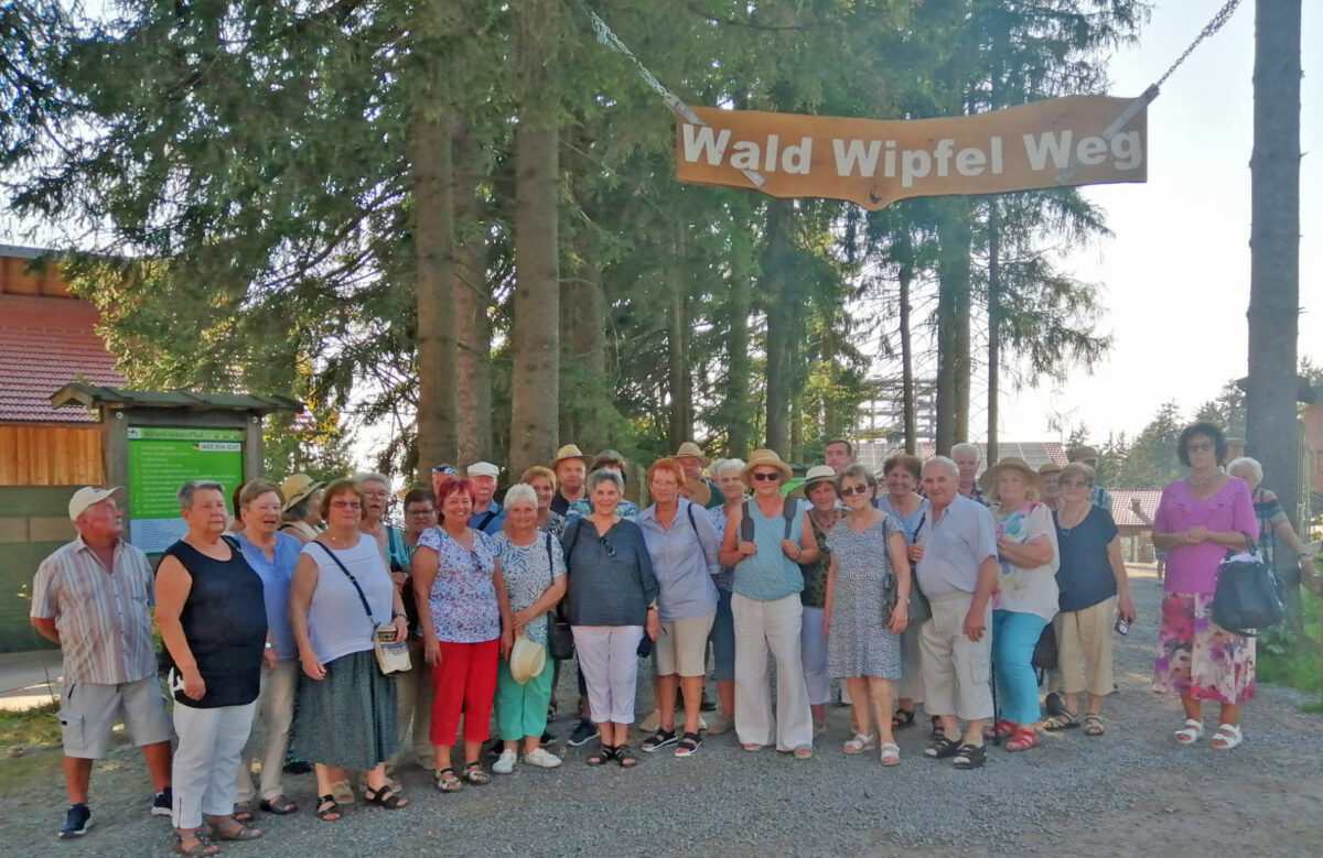 Maxhütter Senioren: Spaziergang über den Wipfeln der Bäume