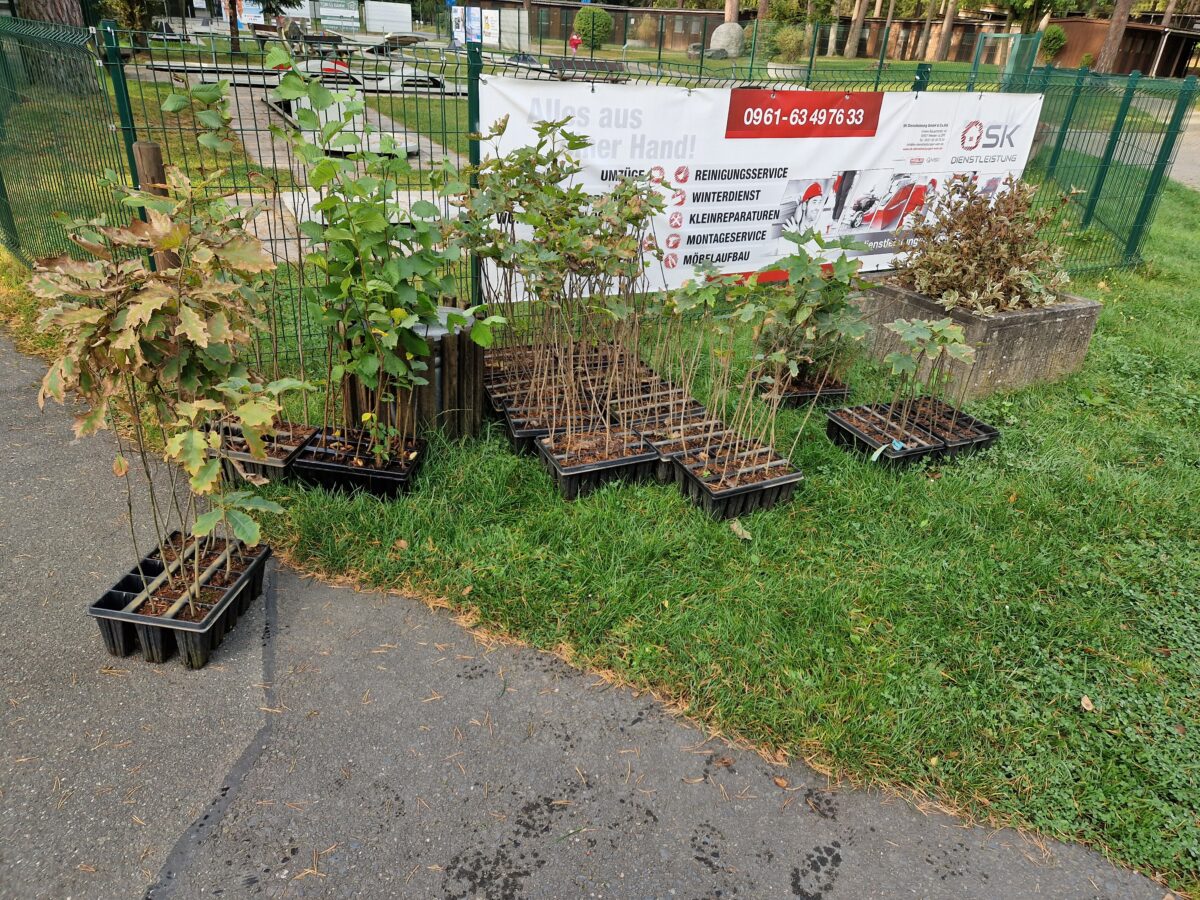 Weiden: Einheitsbuddeln im Schätzlerbad