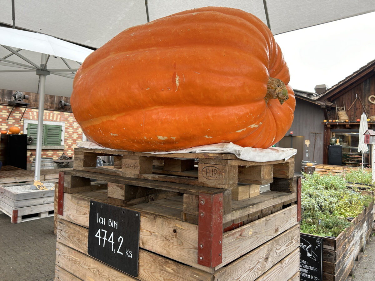 20241001 Oktober Foto Martin Stangl