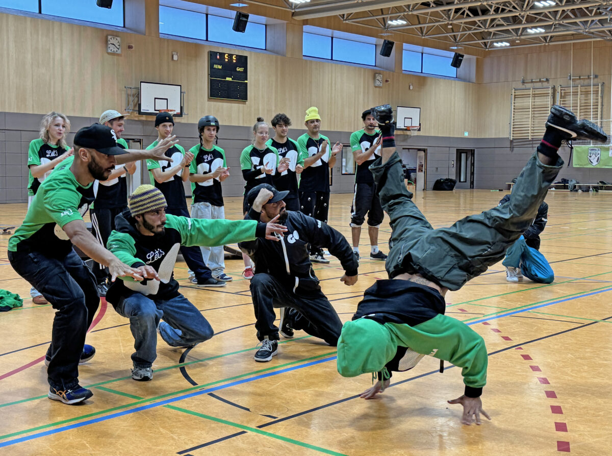 20241002 Gorilla Foto Martin