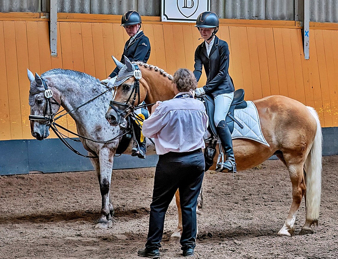 WBO-Turnier in Weiden erfolgreich ausgetragen