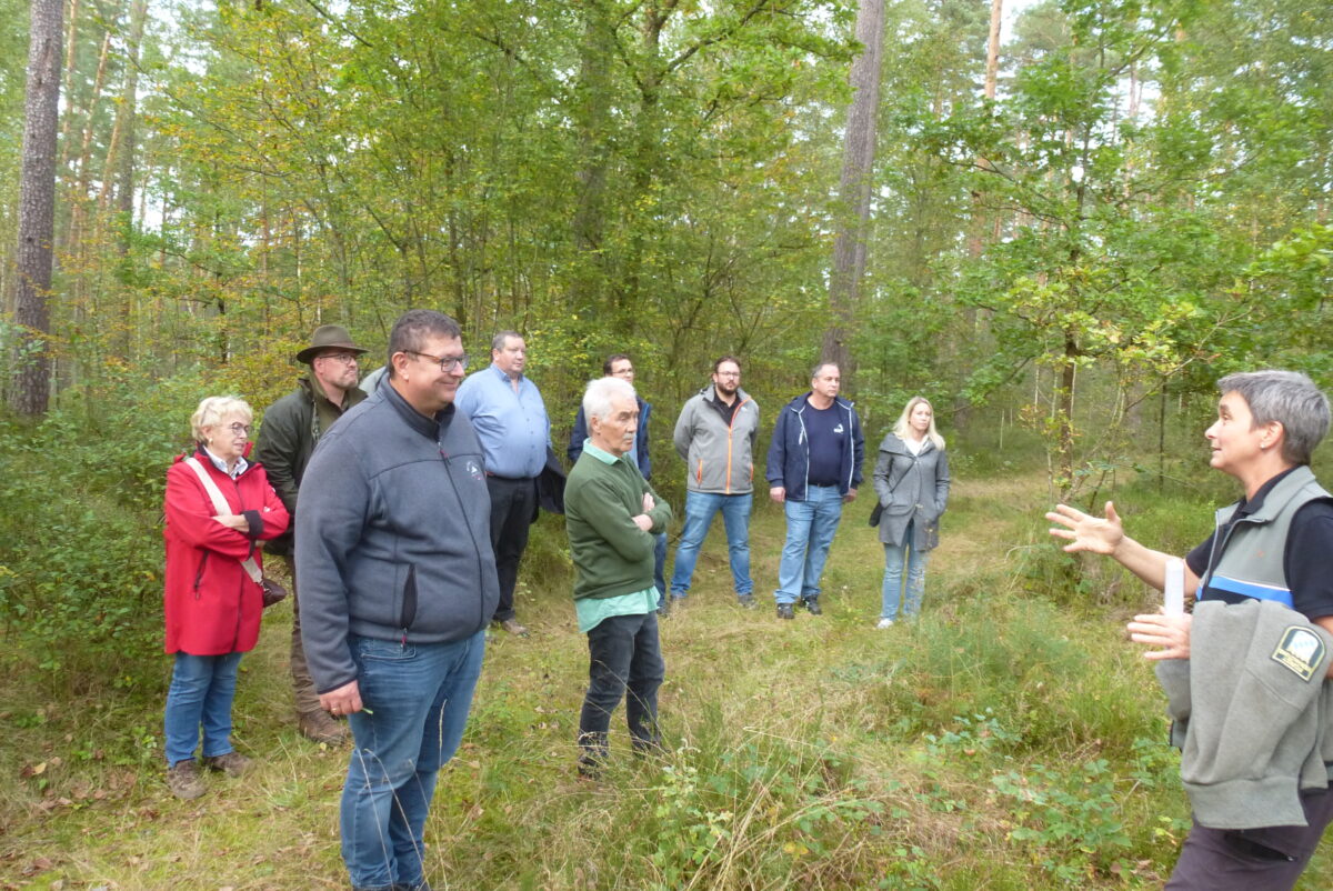 Anpassung der Forstwirtschaft an den Klimawandel