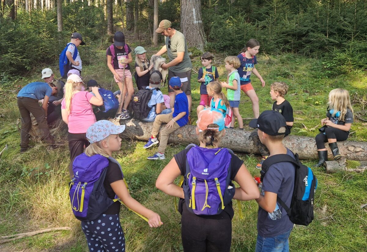 Waldexkursion mit Jäger Greiner lehrt Kinder über Natur und Wildtiere