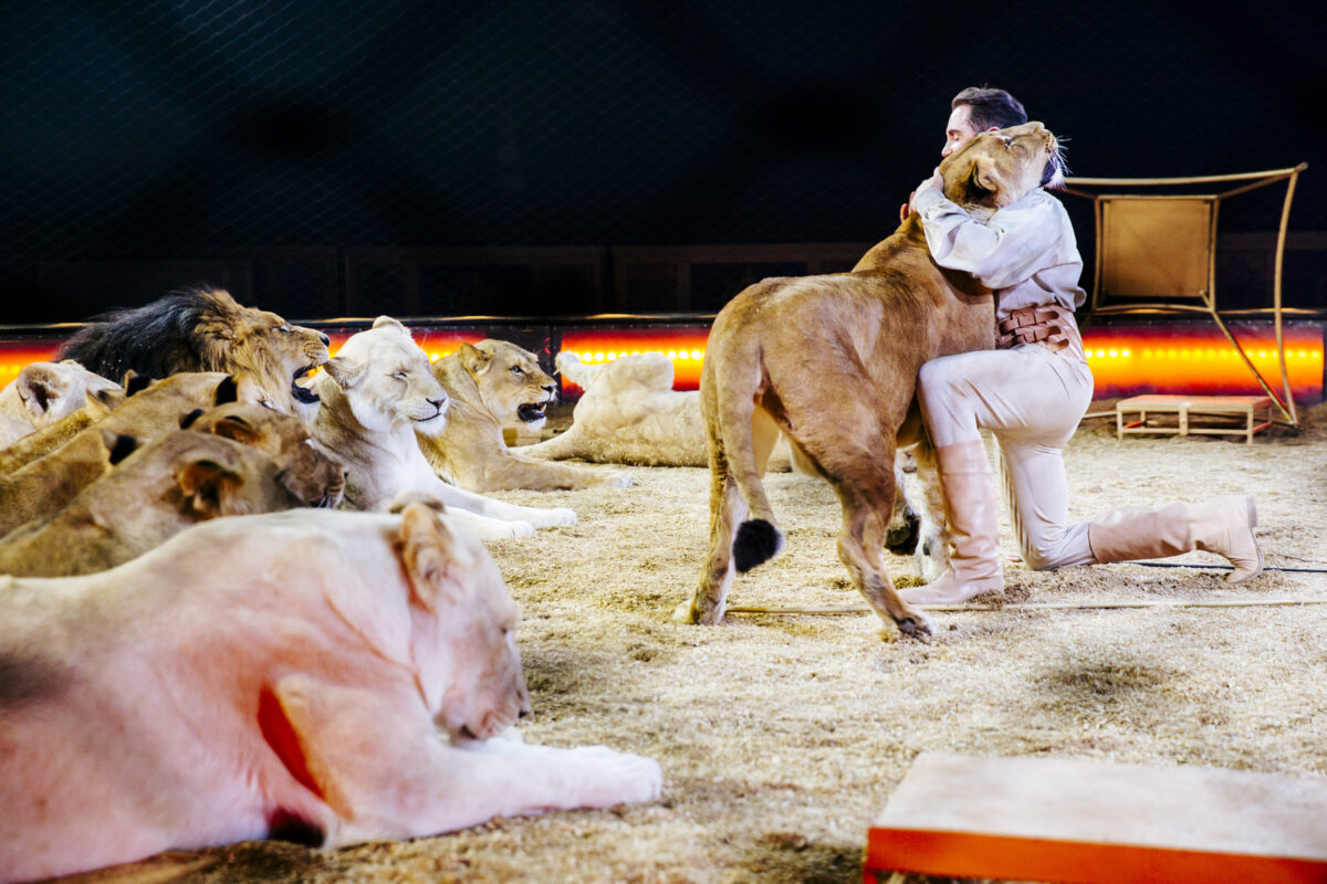 Martin Lacey jr. Zirkus Krone Circus Krone