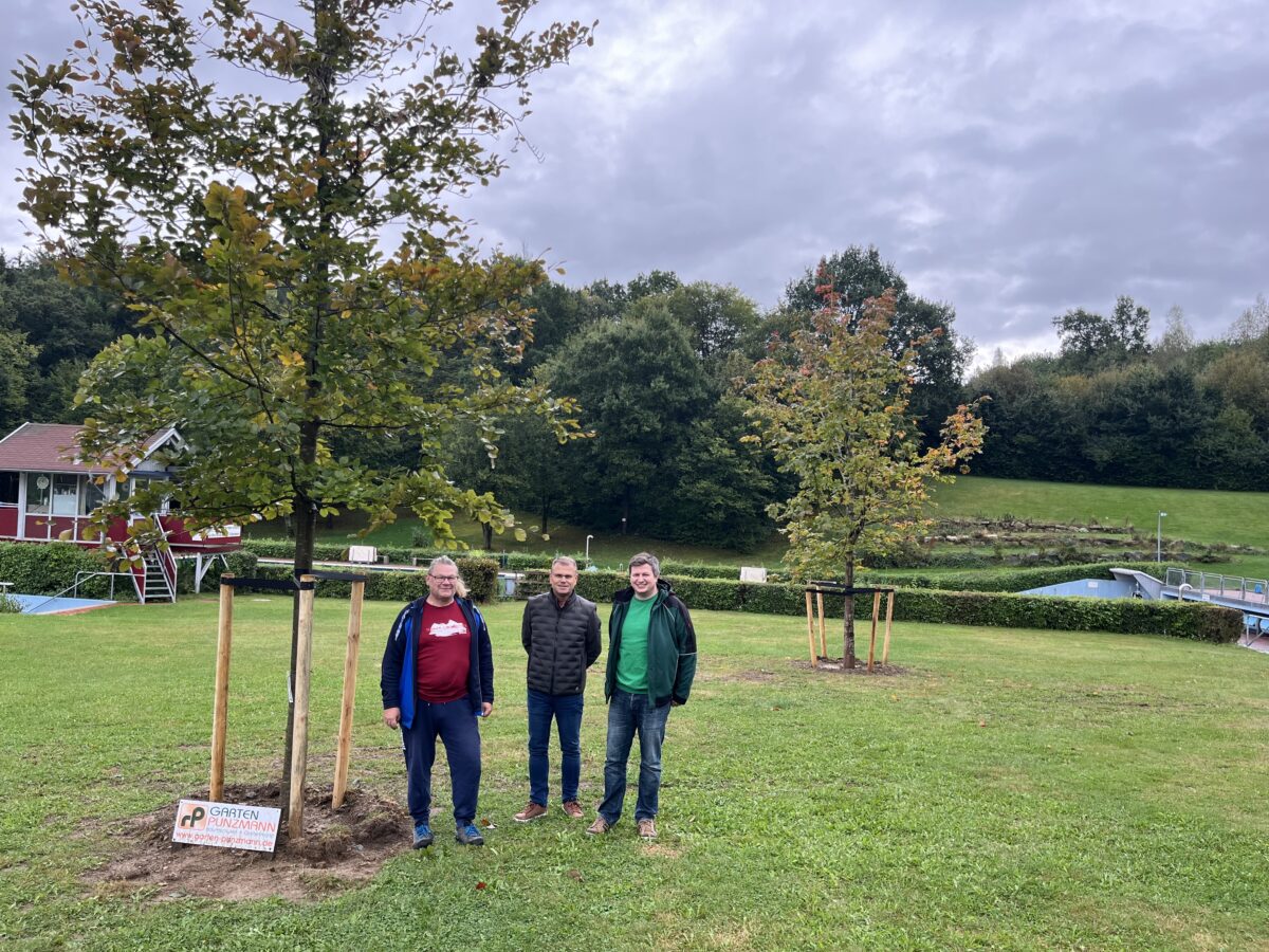 Neue Bäume bereichern Freibad Windischeschenbach