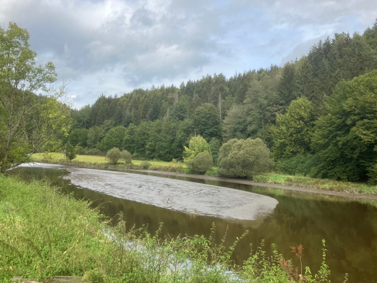 Pfreimdfluss verschlammt: Sofortige Sanierung nötig