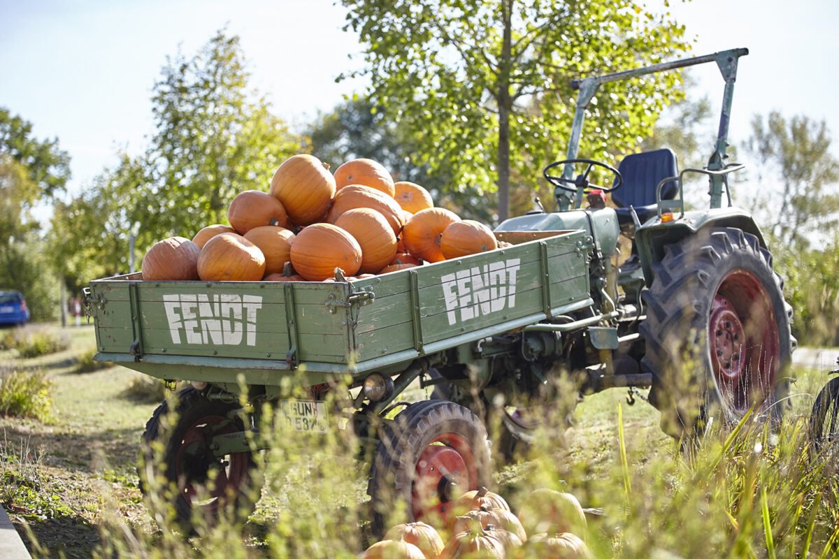 Bio-Höfe-Radtour: Entdeckungsreise durch die Regionen