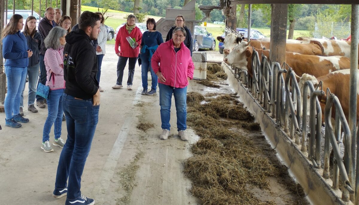Bio-Rindfleisch aus Tirschenreuth: Ein lokales Vorzeigeprojekt