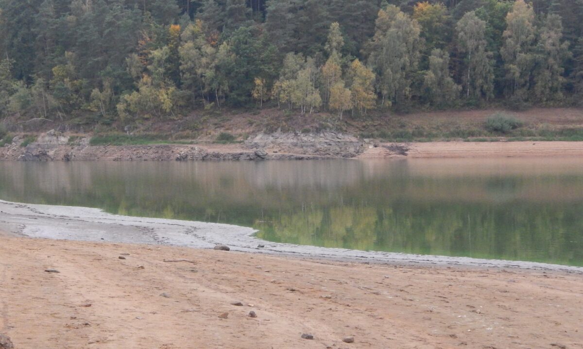 Eixendorfer See: Heimat für Muscheln gesichert