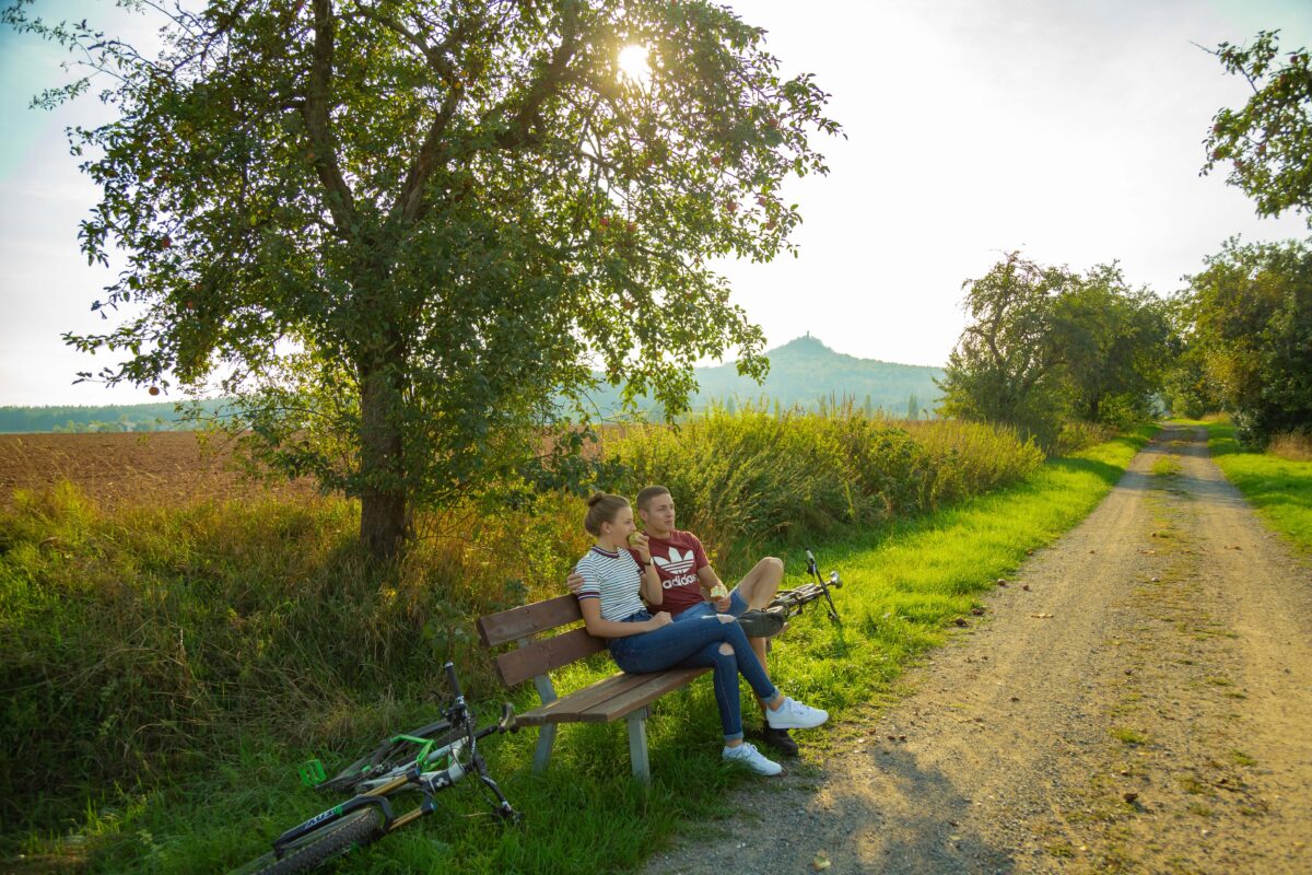 Freiwillige für "Apfelbaum-Allee" in Kastl gesucht
