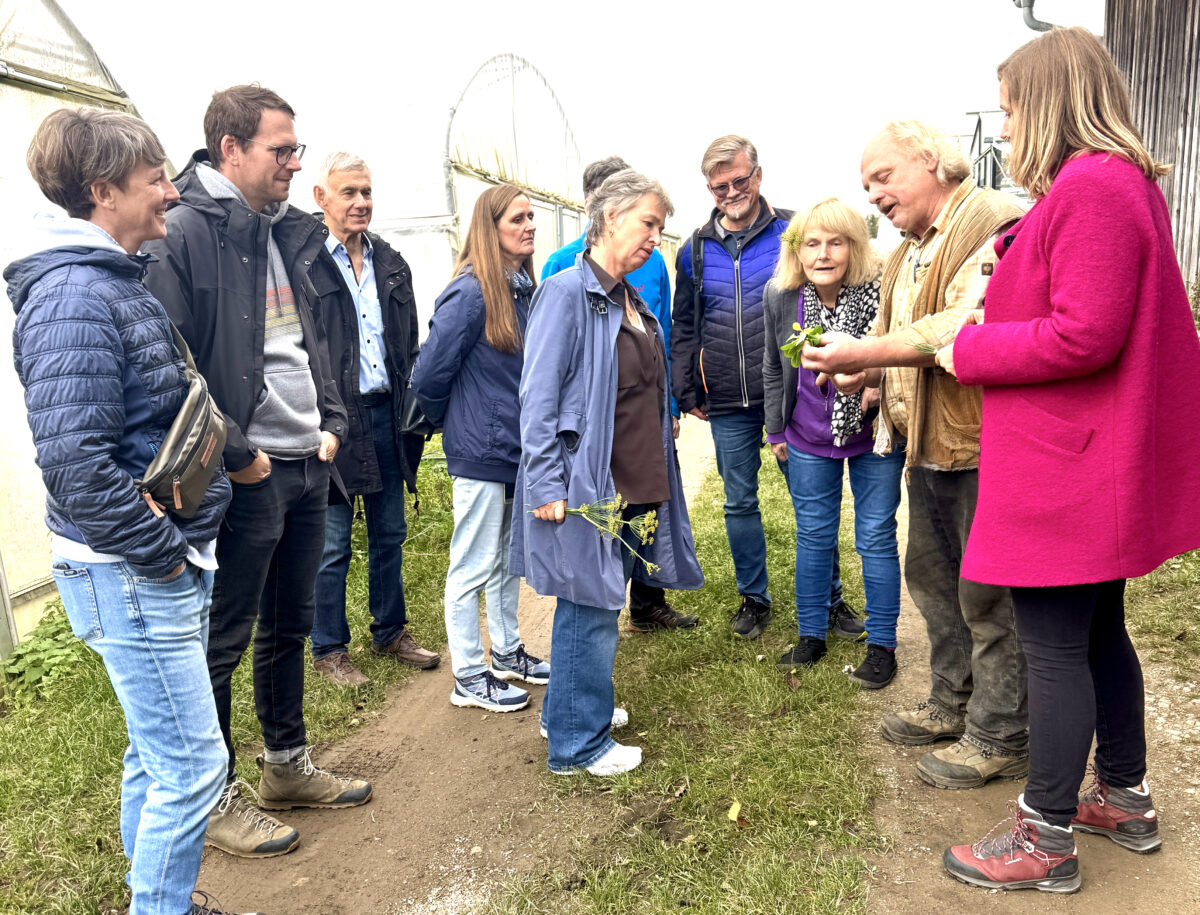Grünen-Chefin Gisela Sengl besucht Biohof in der Oberpfalz