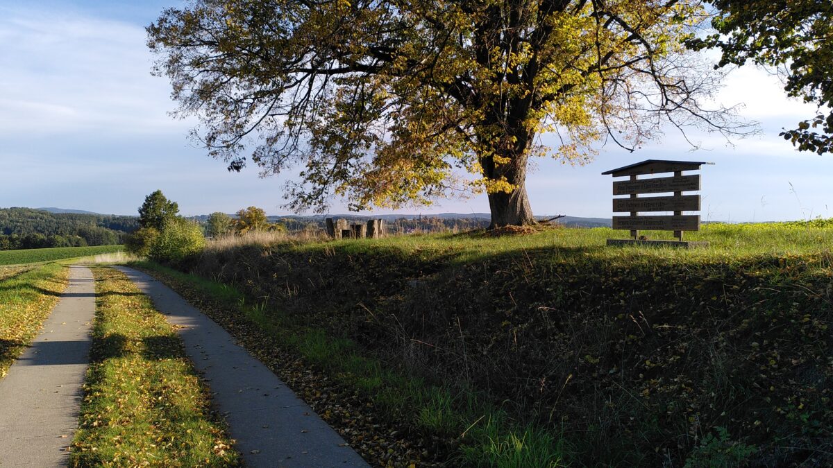 Letzte Hilfe Kurs in Amberg geplant