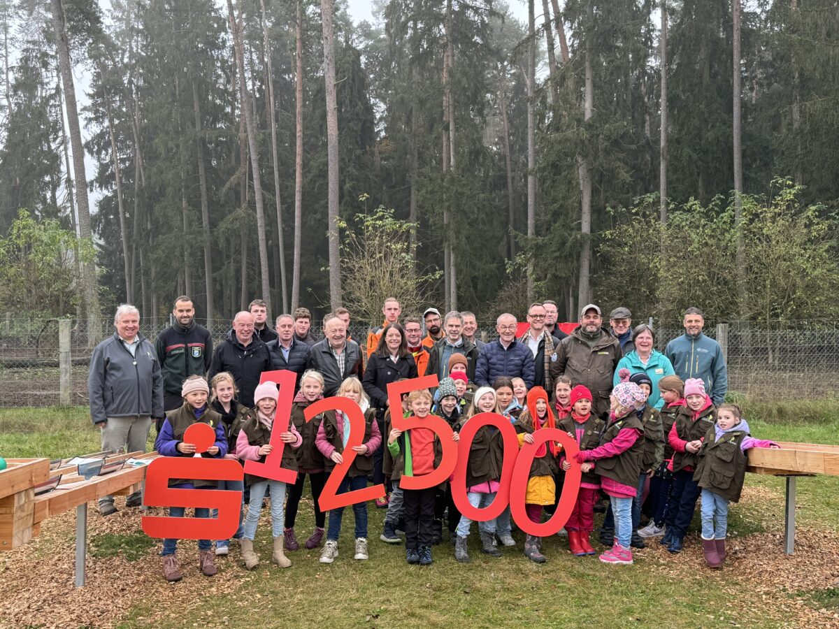 Neue Sparkassen-Kugelbahn im Hirschwald eröffnet
