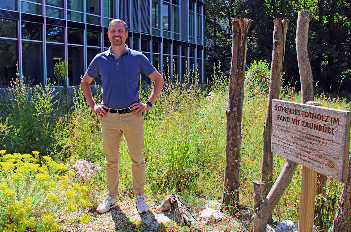 Schels‘ nachhaltige Supermärkte: Neue Wiege der Demokratie?