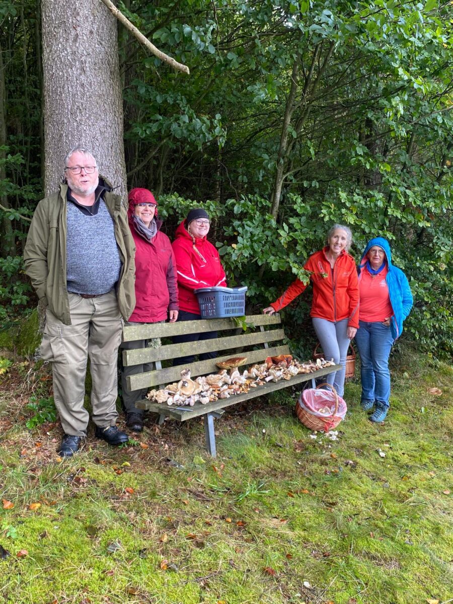Schwammerlsuche übertrifft alle Erwartungen in Georgenberg