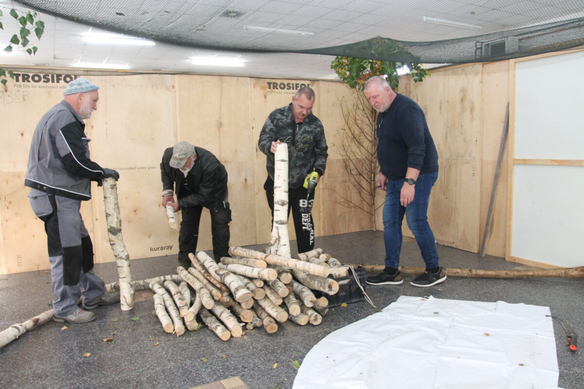 Große Vogelschau in der Pfreimdtalhalle