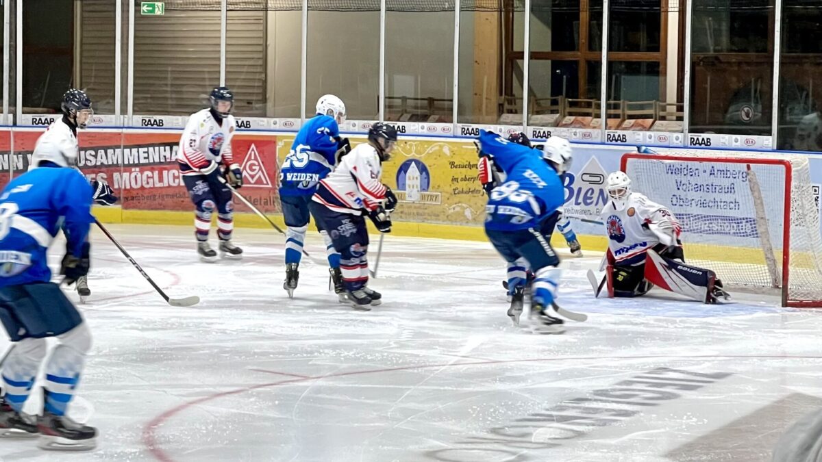 Young Blue Devils Weiden mit Licht und Schatten