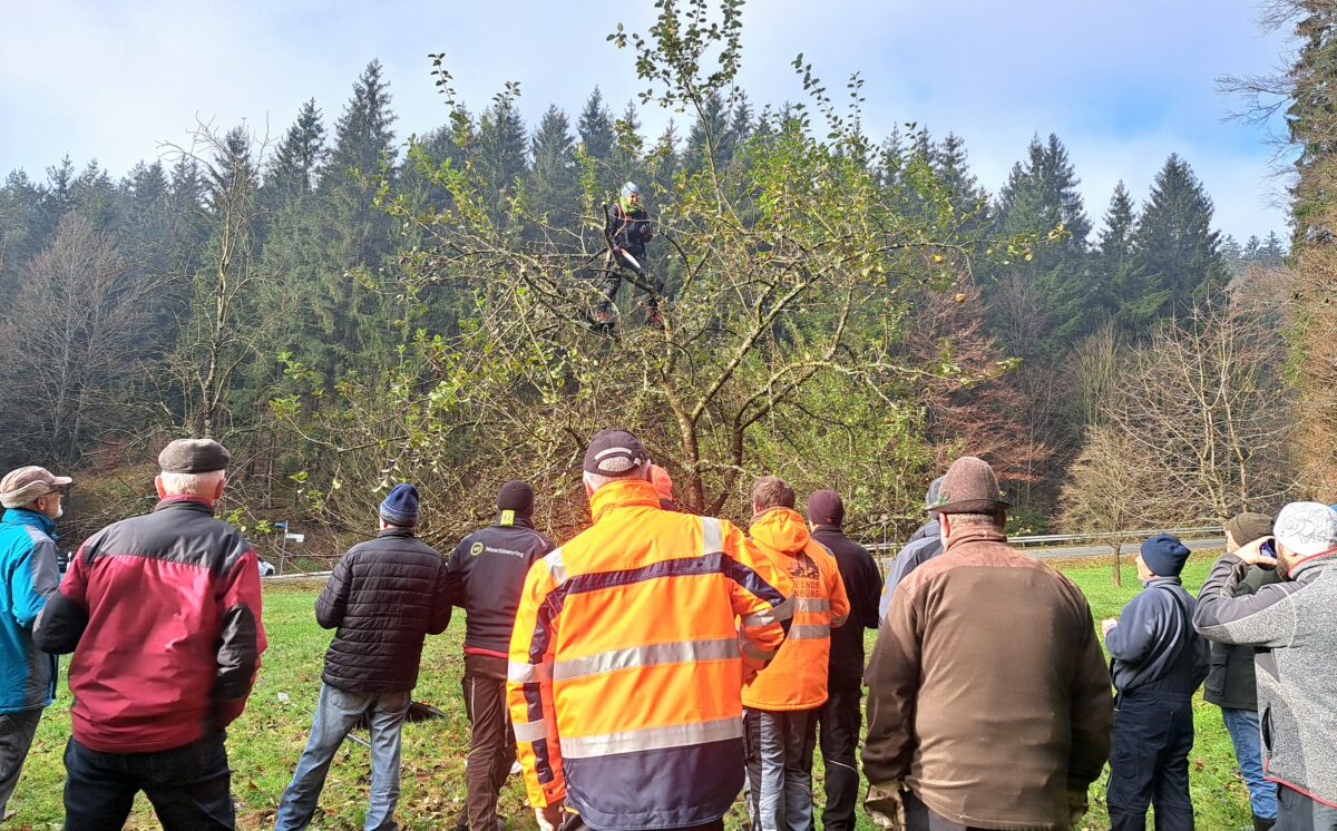 Obstbaumschnittkurs in Flossenbürg begeistert Teilnehmer