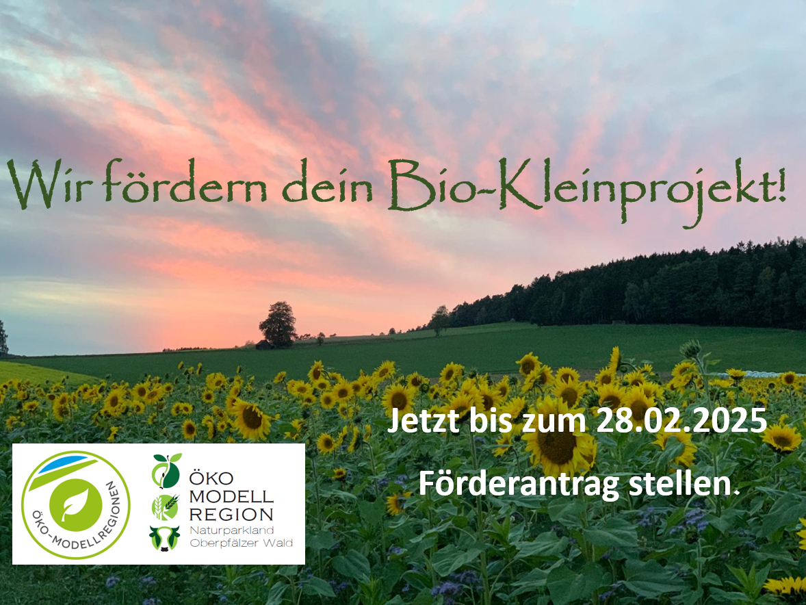 Öko-Fördermittel 2025 für Oberpfälzer Wald Projekte