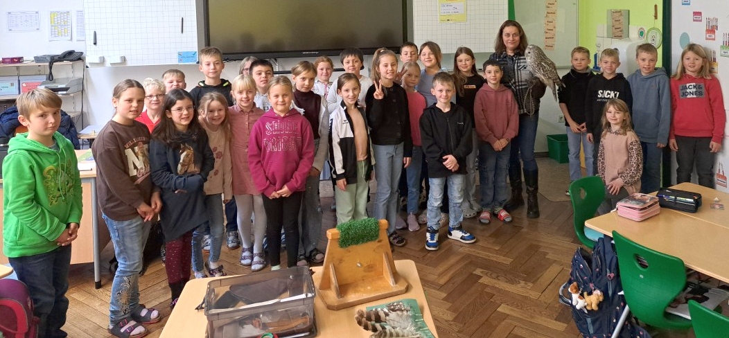 Schulklasse trifft seltenen Habichtskauz in Erbendorf