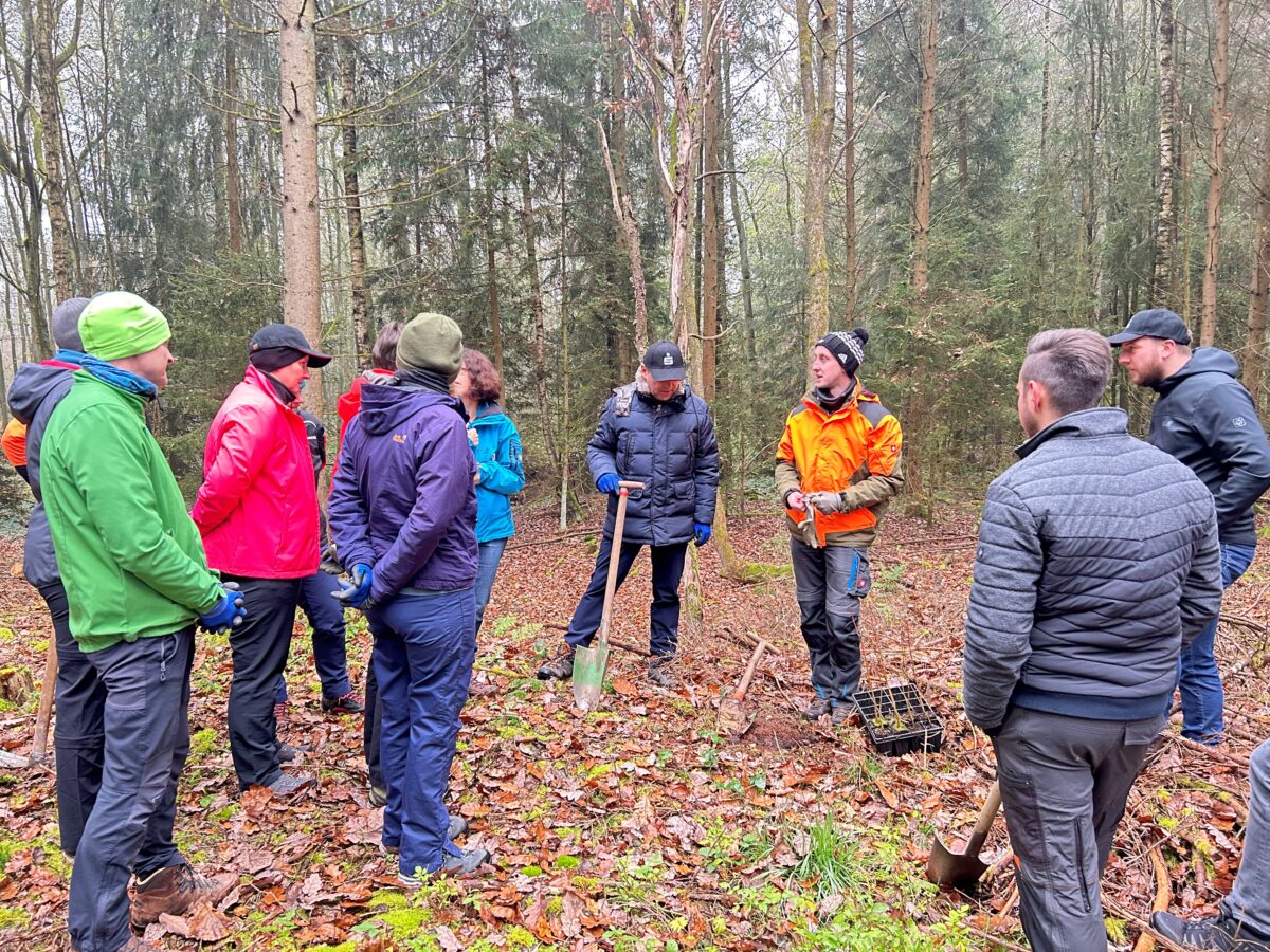 Sparkasse pflanzt 200 Bäume in Kemnath für die Umwelt