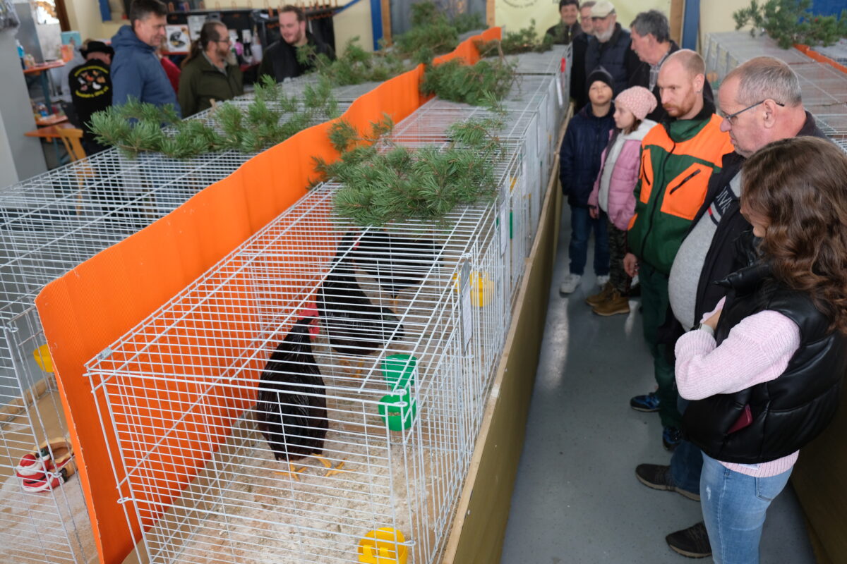 Tremmersdorf begeistert mit Kleintierschau