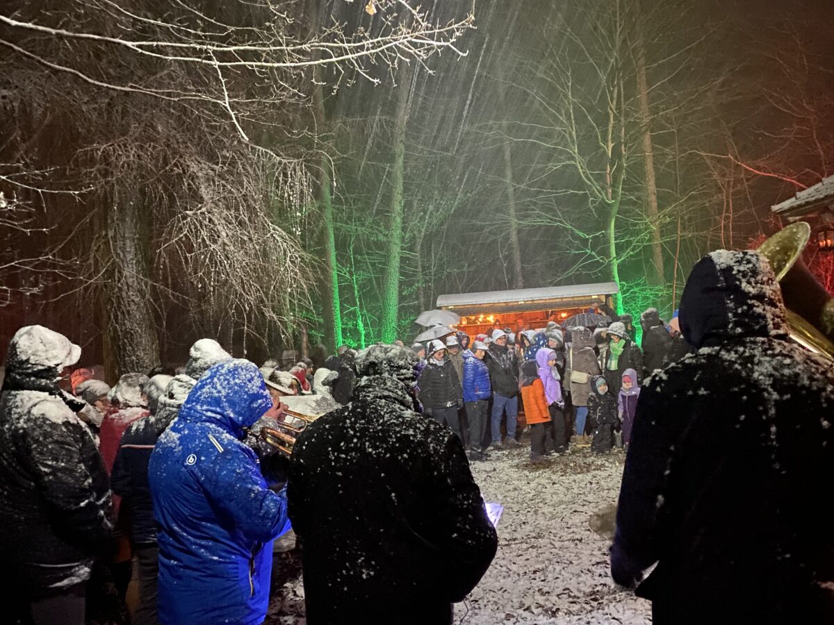Waldweihnacht im Schneegestöber