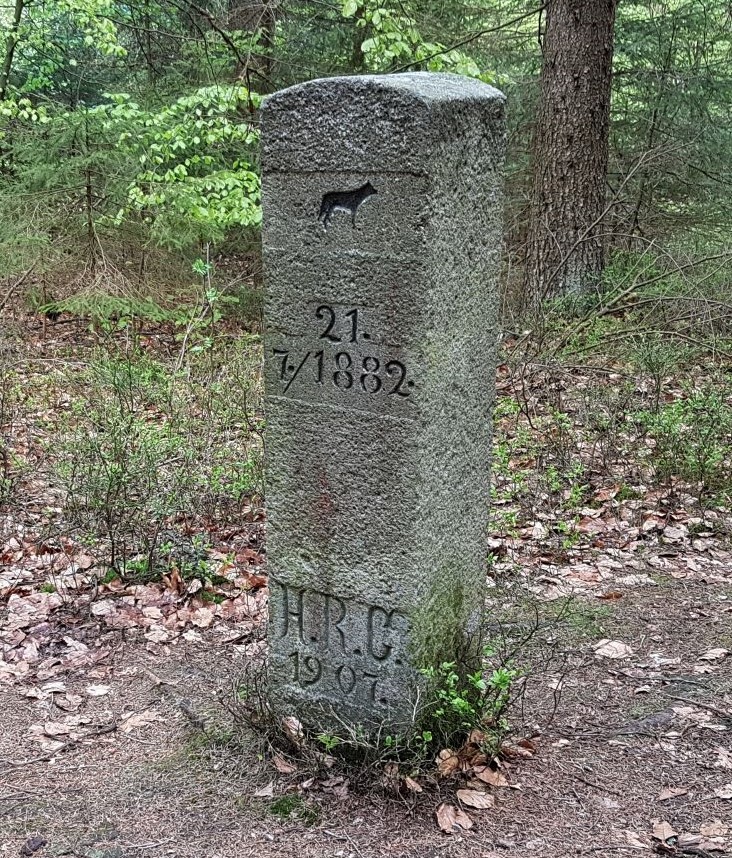 Kirchenthumbach fordert Maßnahmen gegen Wolfsrisse