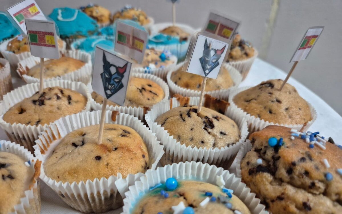 Pestalozzi-Schüler unterstützen Blue Devils