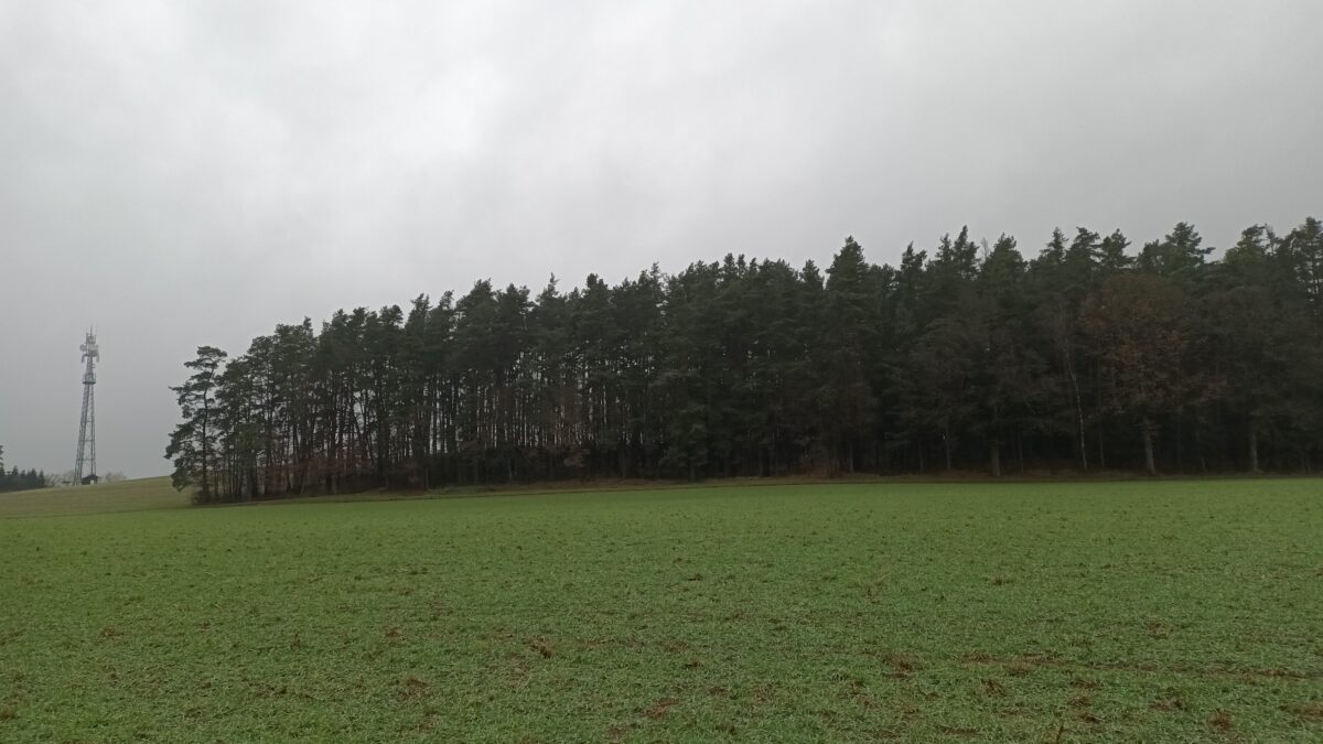 Trabitz setzt auf Aufkommensneutralität bei Grundsteuer