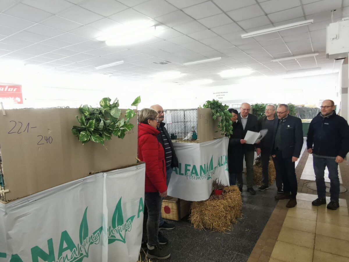 Hauptsonderschau der Show-Racer-Tauben in Pfrentsch