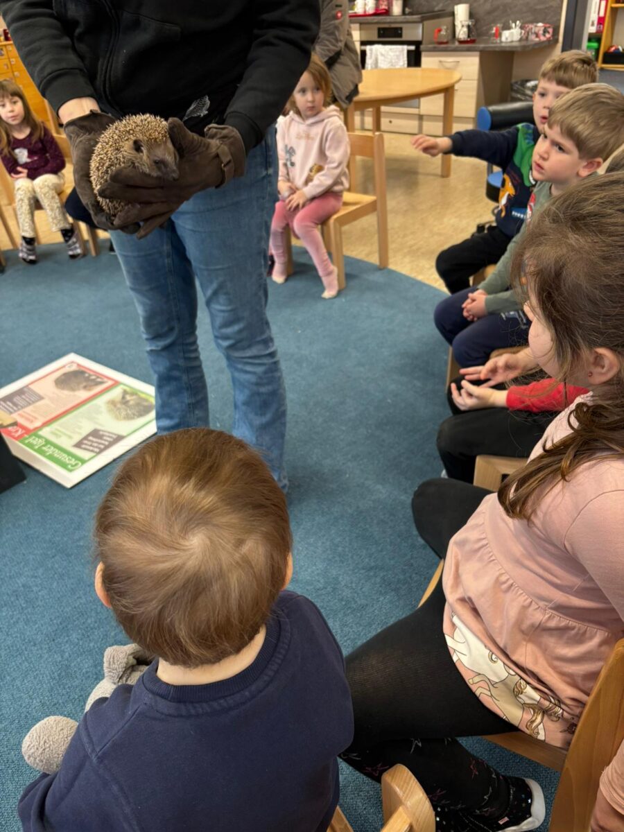 Igel „Peterchen“ weckt Tierschutzinteresse bei Kindern