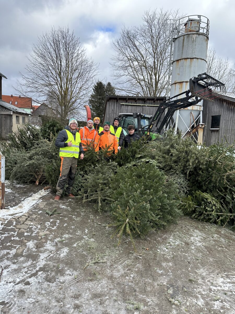 JU Waldershof erzielt Rekord bei Christbaumsammlung