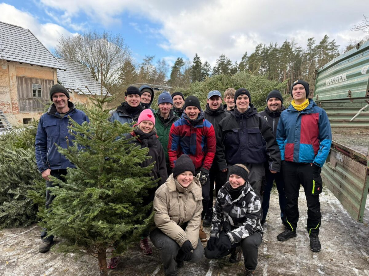 Neustadts Jugend sorgt für saubere Christbaum-Entsorgung