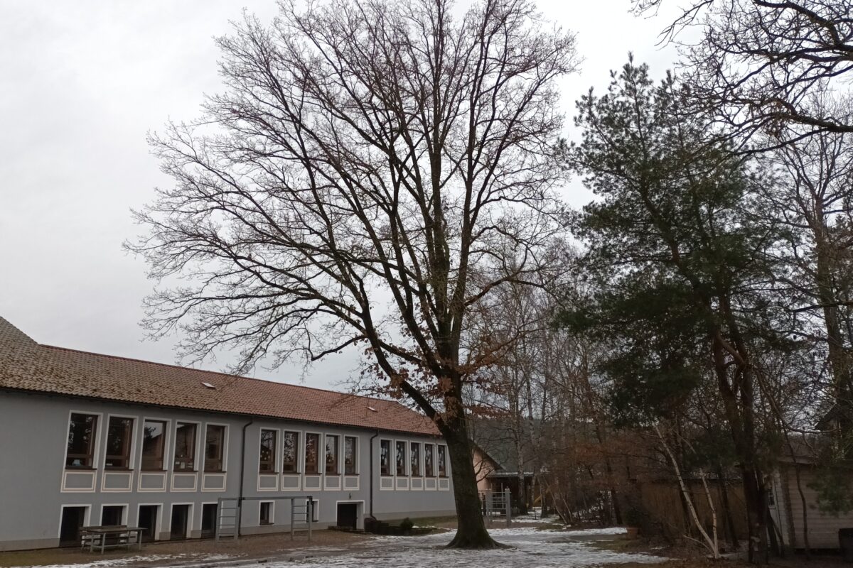 Schwarzenbach (NEW): Gemeinderatssitzung