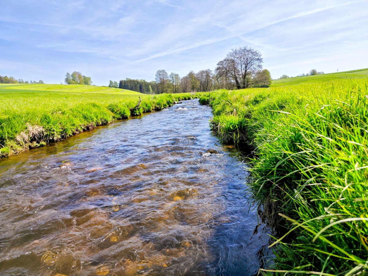 Angelverein Schönkirch feiert Wachstum und neue Gewässer