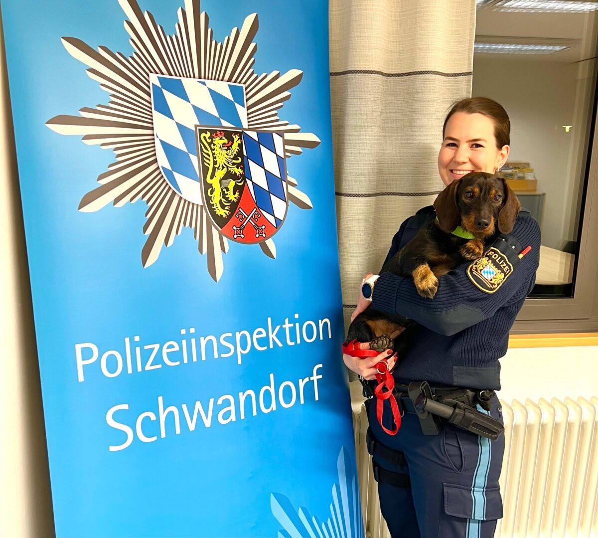 Dackeldame Frieda wohlbehalten zurück zuhause.