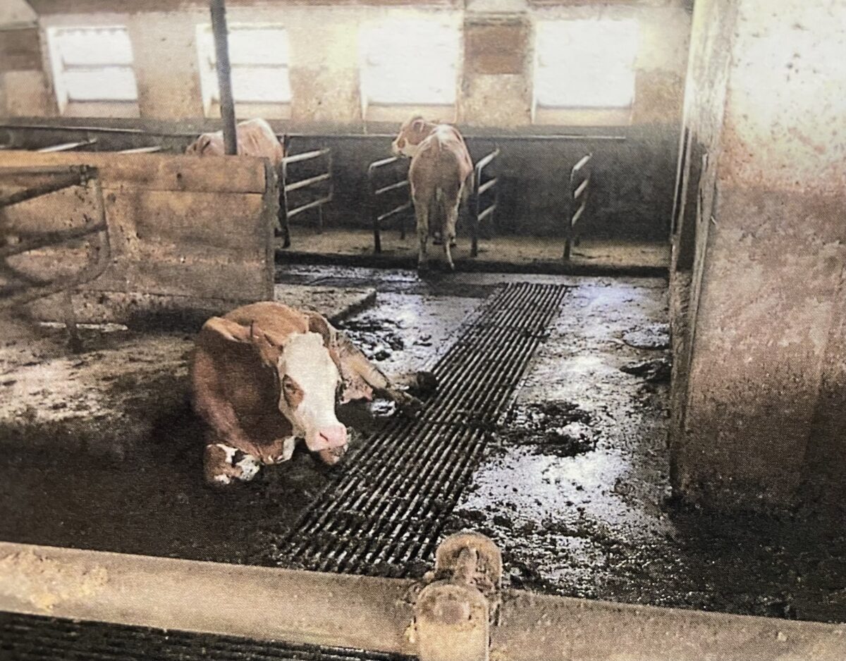 Veterinäramt Landwirt