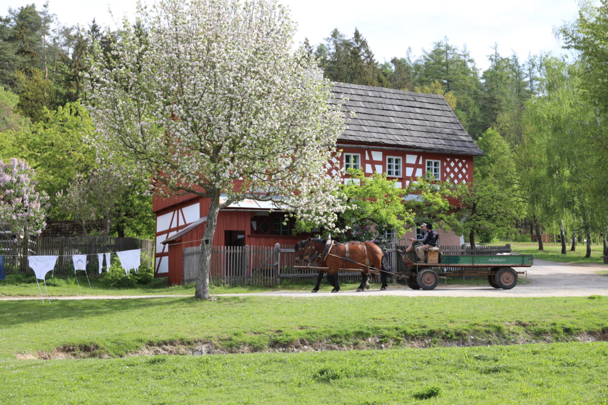 Saisonstart im Freilandmuseum mit Schürzenausstellung